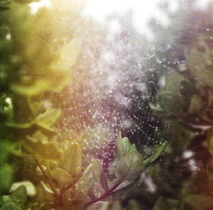 Posse – Perfect H 7"