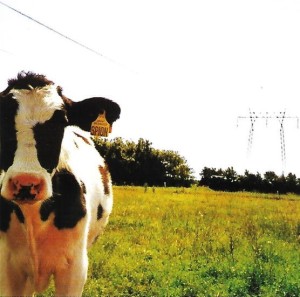 Spion – På Landet (CD)