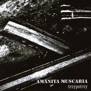 Amanita Muscaria – Trzypotrzy (CD)