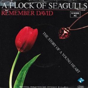 A Flock Of Seagulls – Remember David 7"