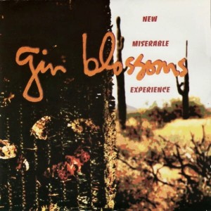 Gin Blossoms – New Miserable Experience (CD)