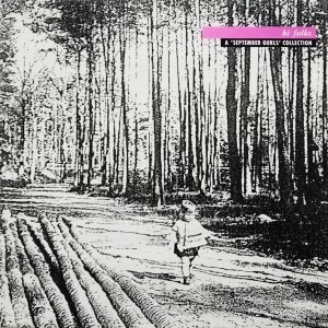 Various – Hi Folks (A 'September Gurls' Collection) LP