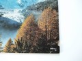 IMG_20250209_093441.jpg