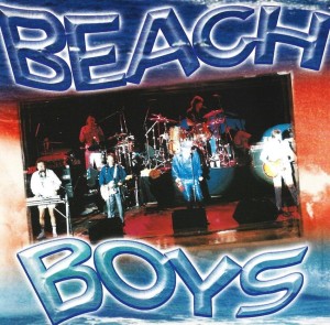 The Beach Boys – Live Hits Collection (CD)