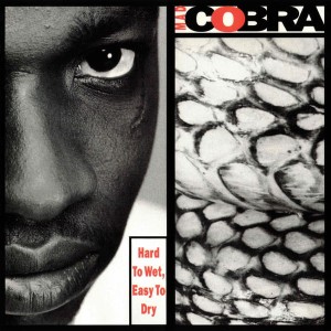 Mad Cobra – Hard To Wet, Easy To Dry (CD)