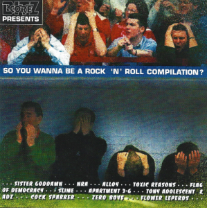 Various – So You Wanna Be A Rock 'N' Roll Compilation? (CD)