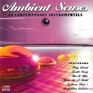 Various – Ambient Senses (CD)