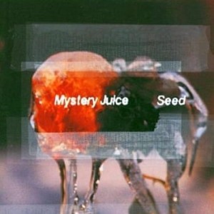 Mystery Juice ‎– Seed (CD)