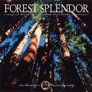 Dennis Scott & Chris Davis – Forest Splendor (CD)