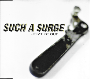 Such A Surge / Pain In The Ass ‎– Jetzt Ist Gut (CD)