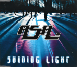 Ash ‎– Shining Light (CD)