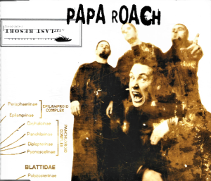 Papa Roach – Last Resort (CD)