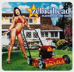 Zebrahead ‎– Playmate Of The Year (CD)