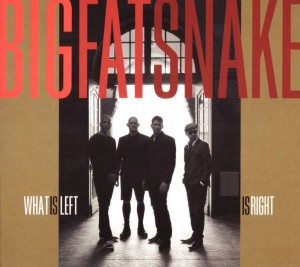 Big Fat Snake ‎– What Is Left Is Right (CD)