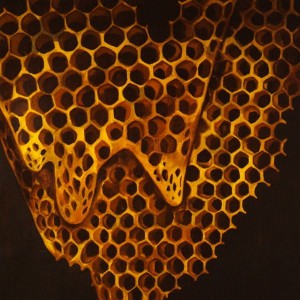Telefon Tel Aviv – Map Of What Is Effortless (CD)