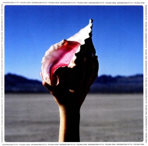 The Killers – Wonderful Wonderful (CD)