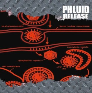 Phluid – Release (CD)