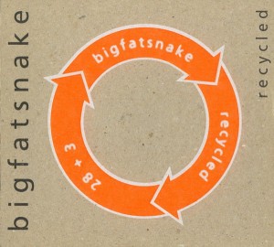 Big Fat Snake – Recycled (2CD)