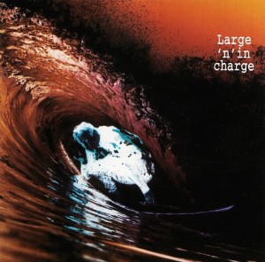 Various – Large 'N' In Charge (CD)