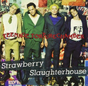 Strawberry Slaughterhouse – Teenage Torturechamber (CD)